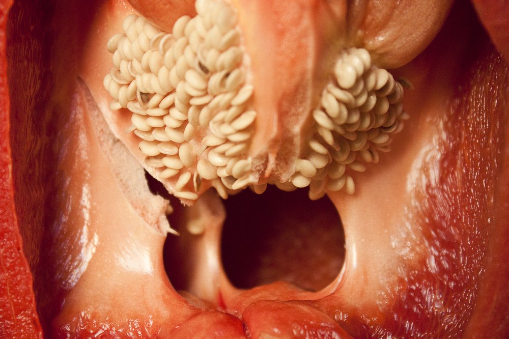 Photograph by Евкин Сергей