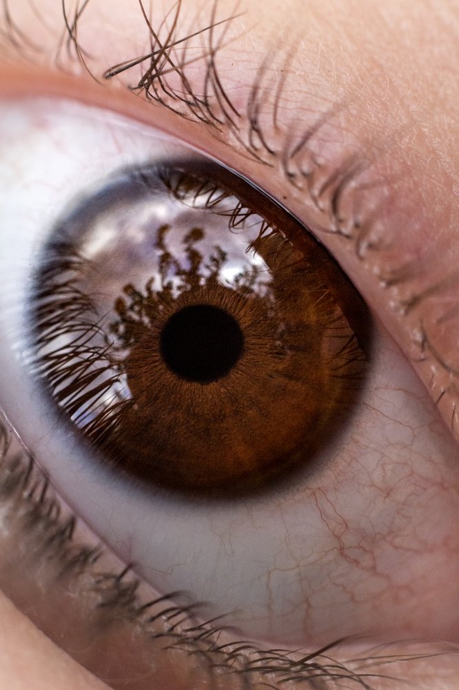 Photograph by Laura García