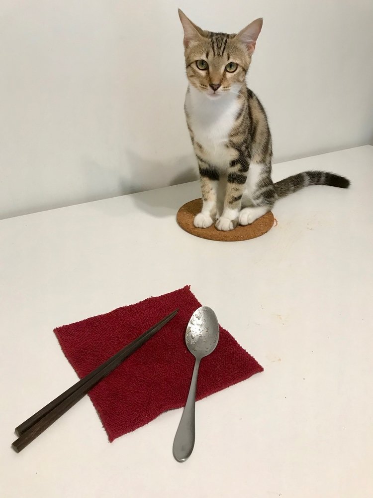 Photograph by Yng-Jaw Jiing