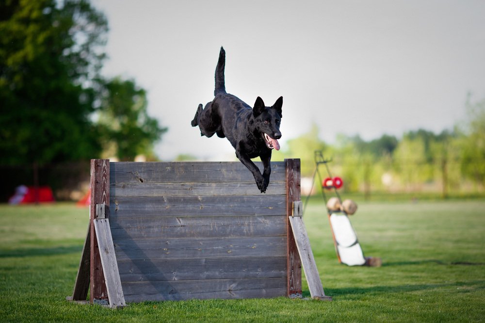 Photograph by Юлия Наволоцкая