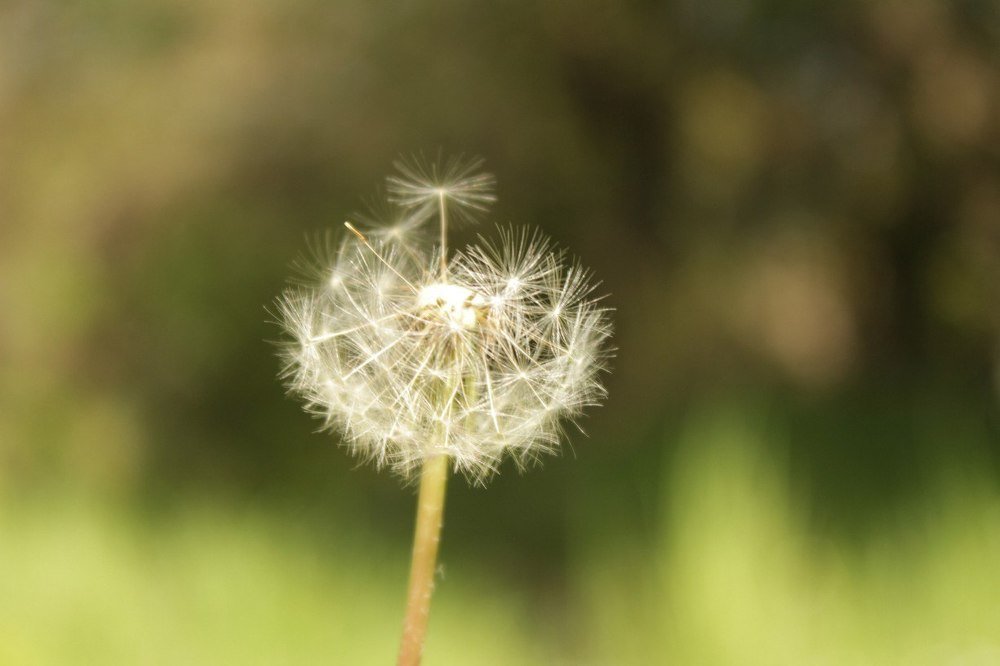 Photograph by Адель Магаева