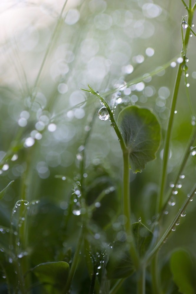 Photograph by Любовь Тернова