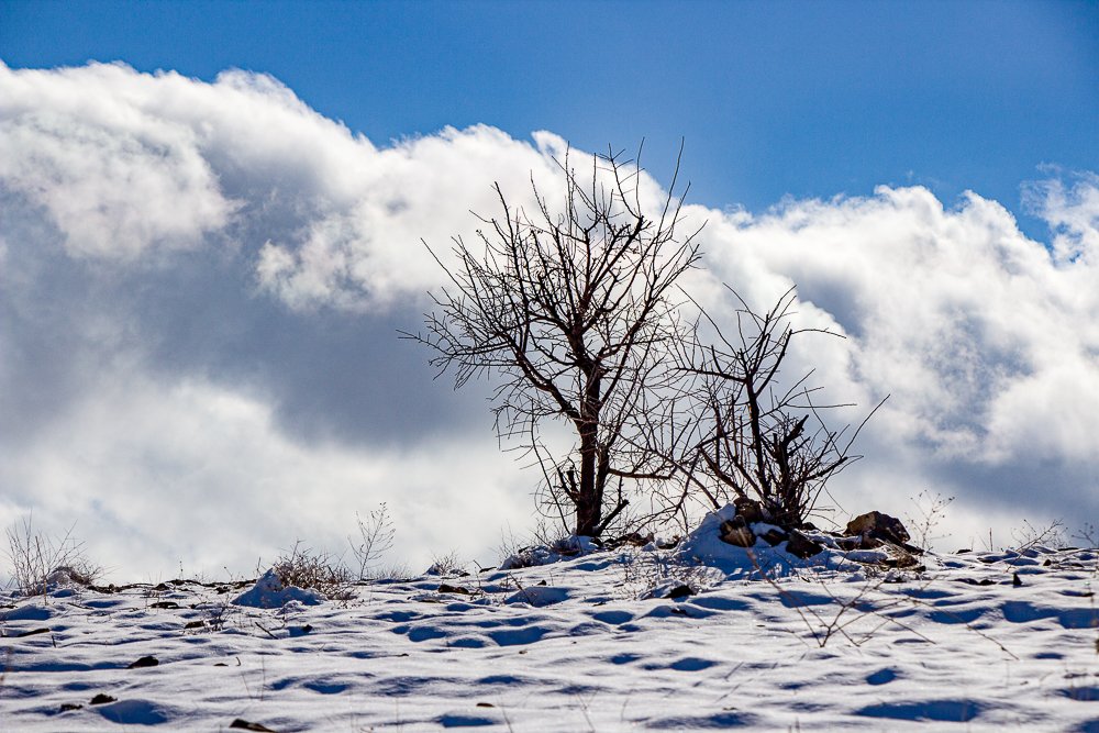 Photograph by Golestani Mojtaba