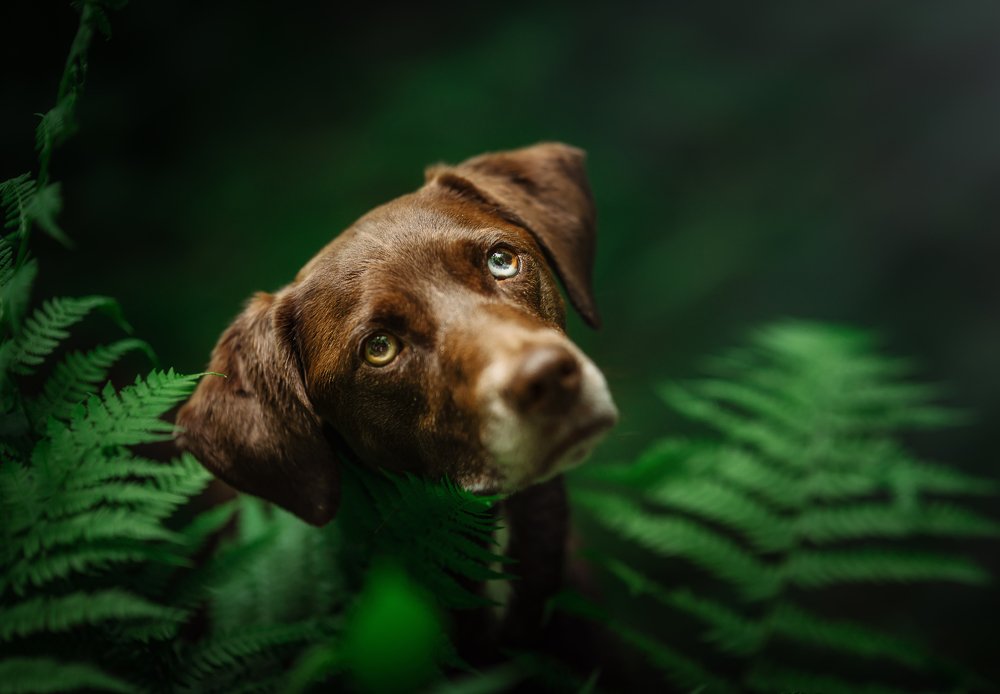 Photograph by Alicja Lelonek-Ball