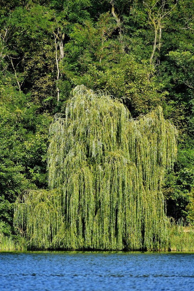 Photograph by Gábor Maczkó