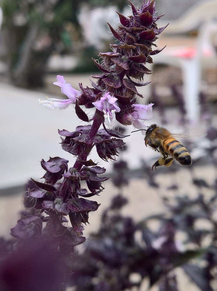 Photograph by Umida Yusupova