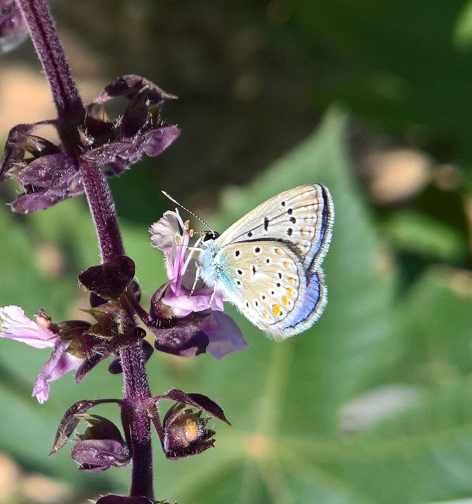 Photograph by Umida Yusupova