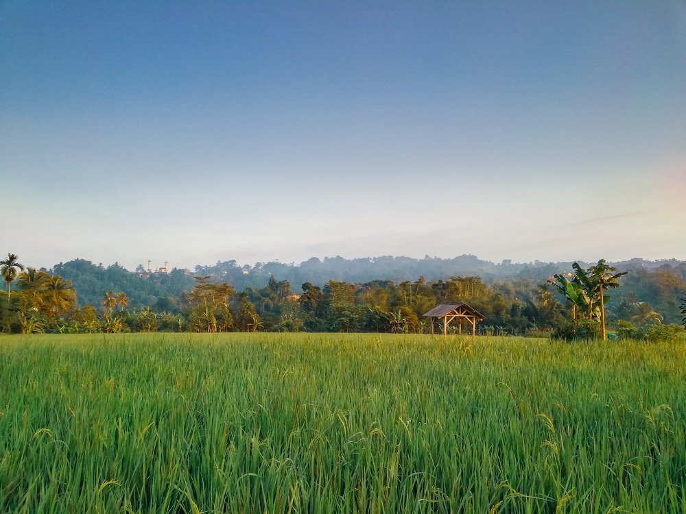 Photograph by Helmi Nashirudin