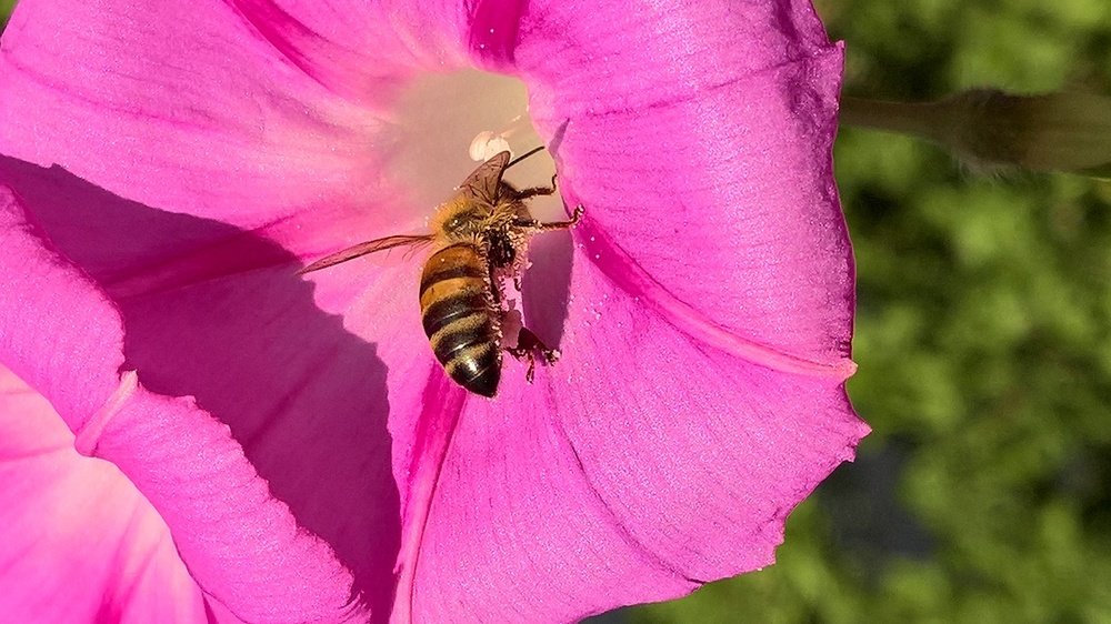 Photograph by Umida Yusupova