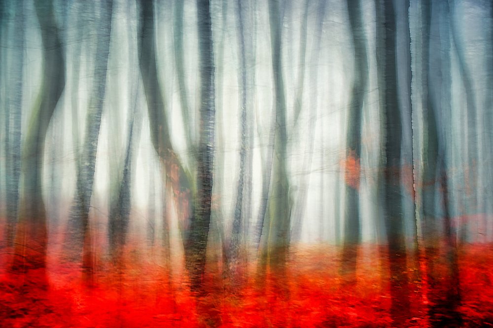 Фотография автора Дмитрий