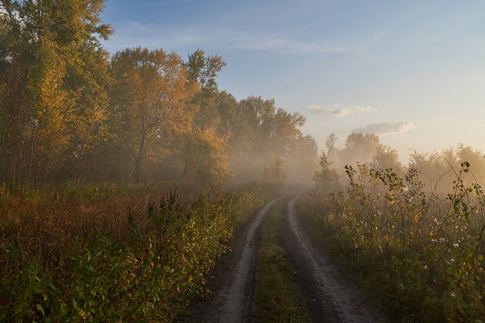 Photograph by Николай Алехин