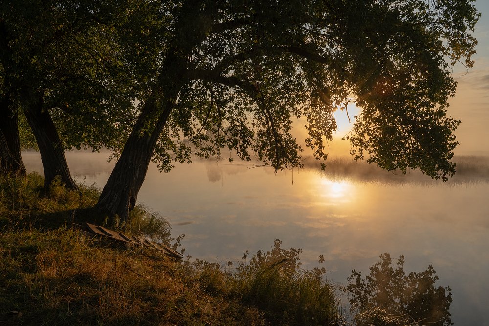 Photograph by Николай Алехин