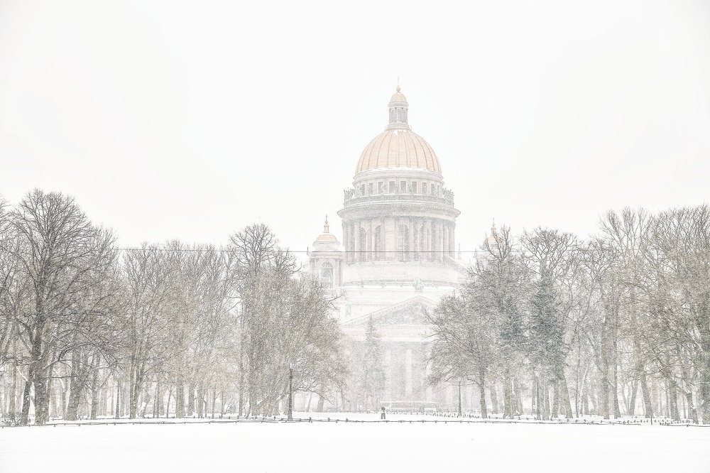 Фотография автора  Роман