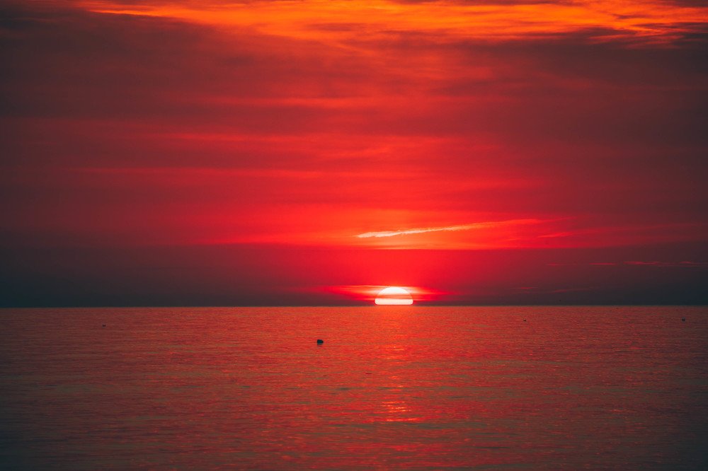 Фотография автора  Роман