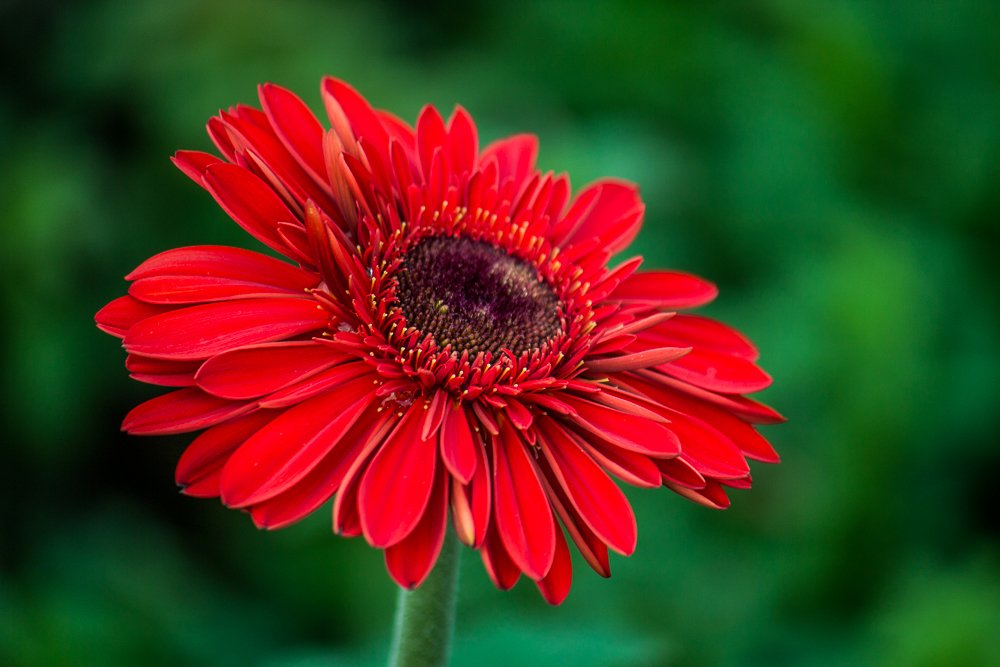 Photograph by Golestani Mojtaba