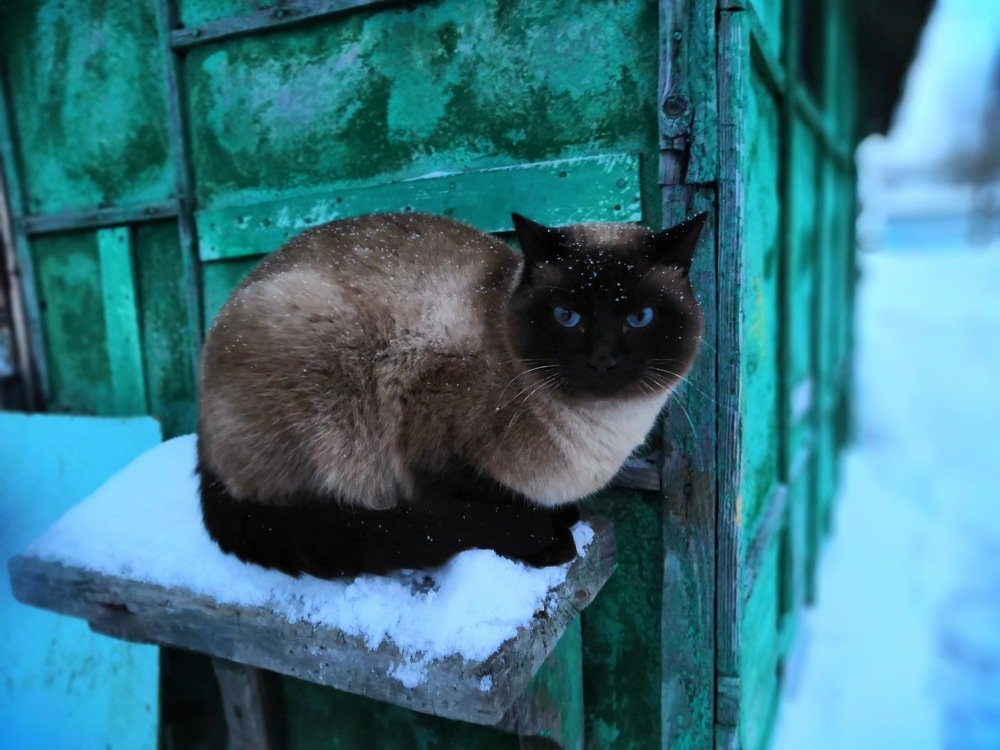 Photograph by Надежда Шашкова