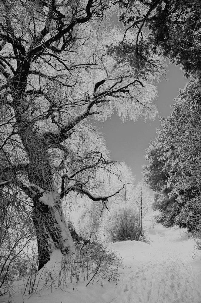 Photograph by Виктор Босак