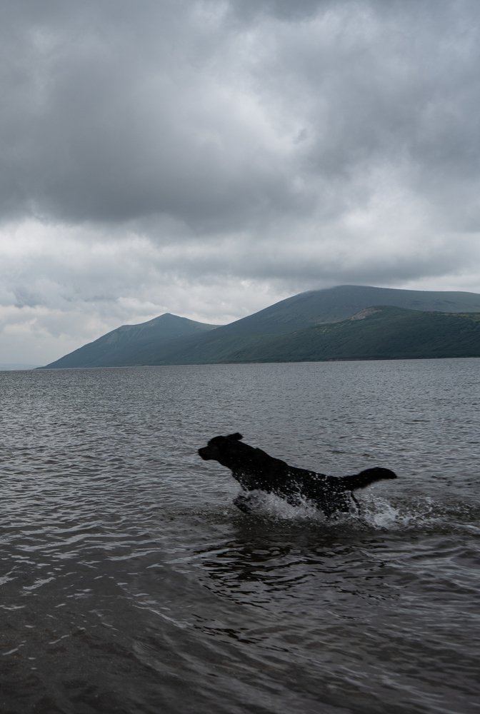 Photograph by Maksim Dyatlovskiy