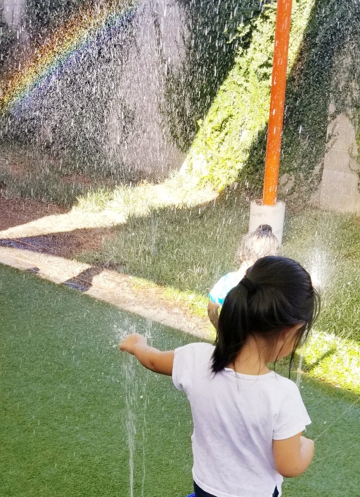 Photograph by Michelle Vaughn