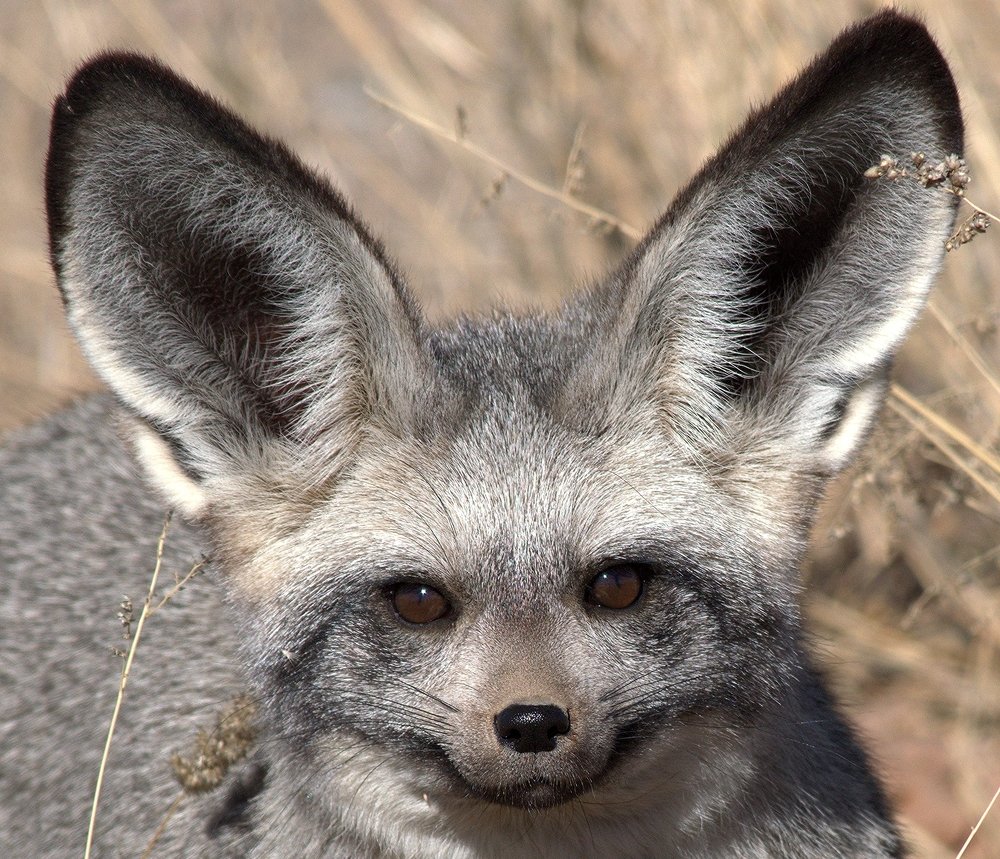 Photograph by Madelein Pretorius