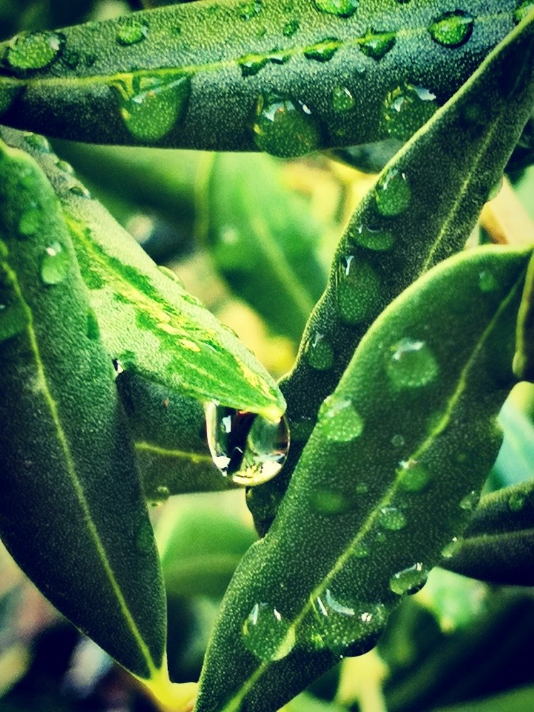 Photograph by Mateja Jaušovec