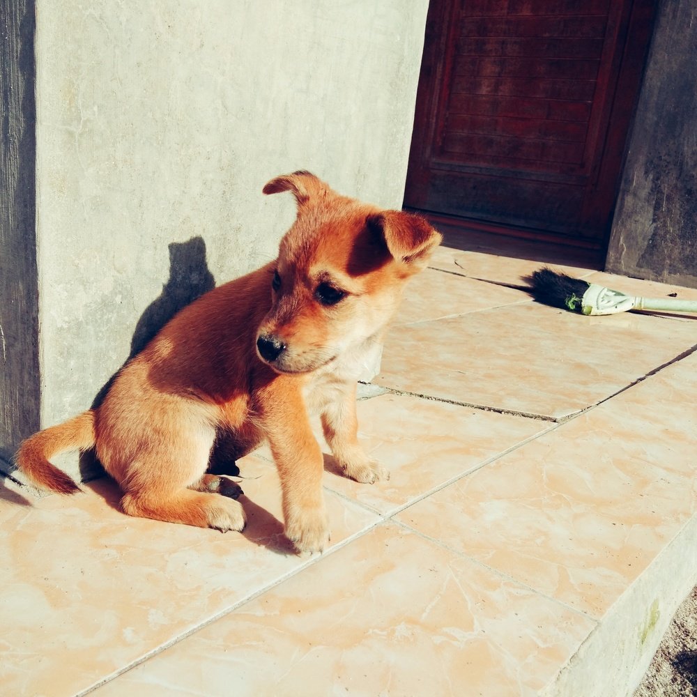 Photo #3672339