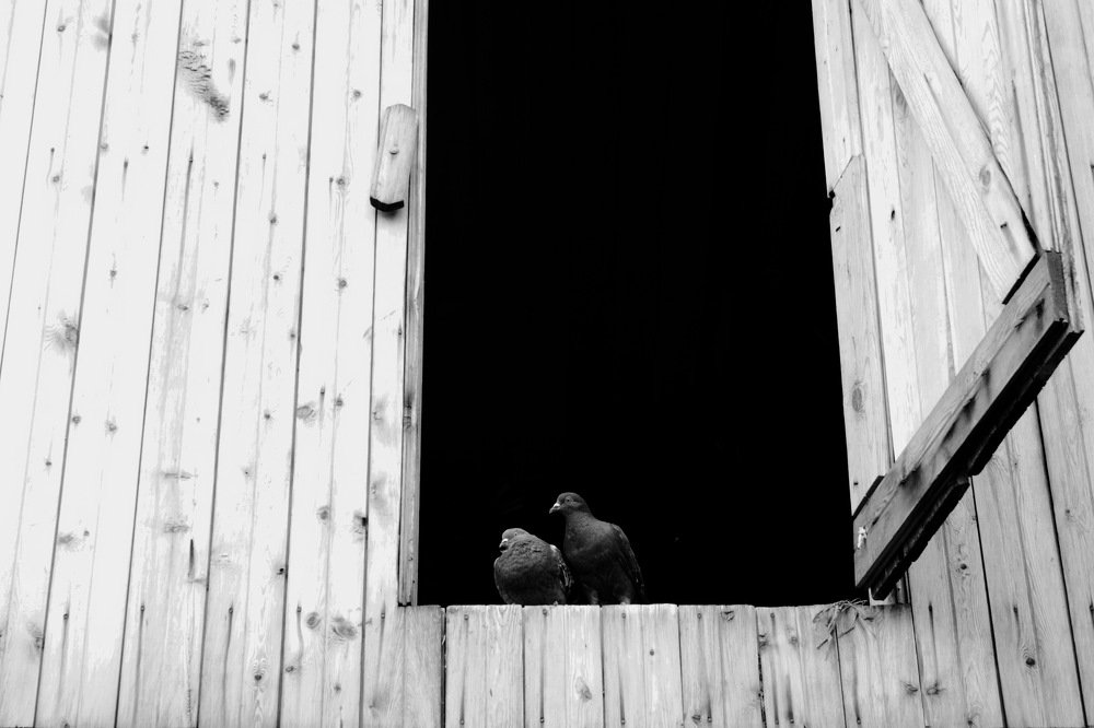 Под крышей дома моего..