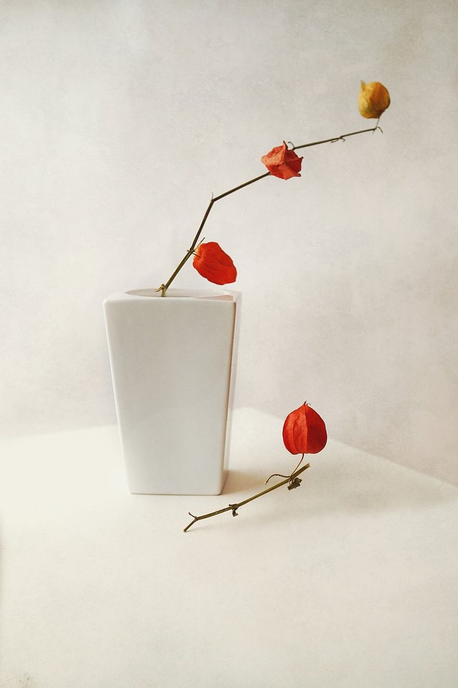 Photograph by Надежда Власова