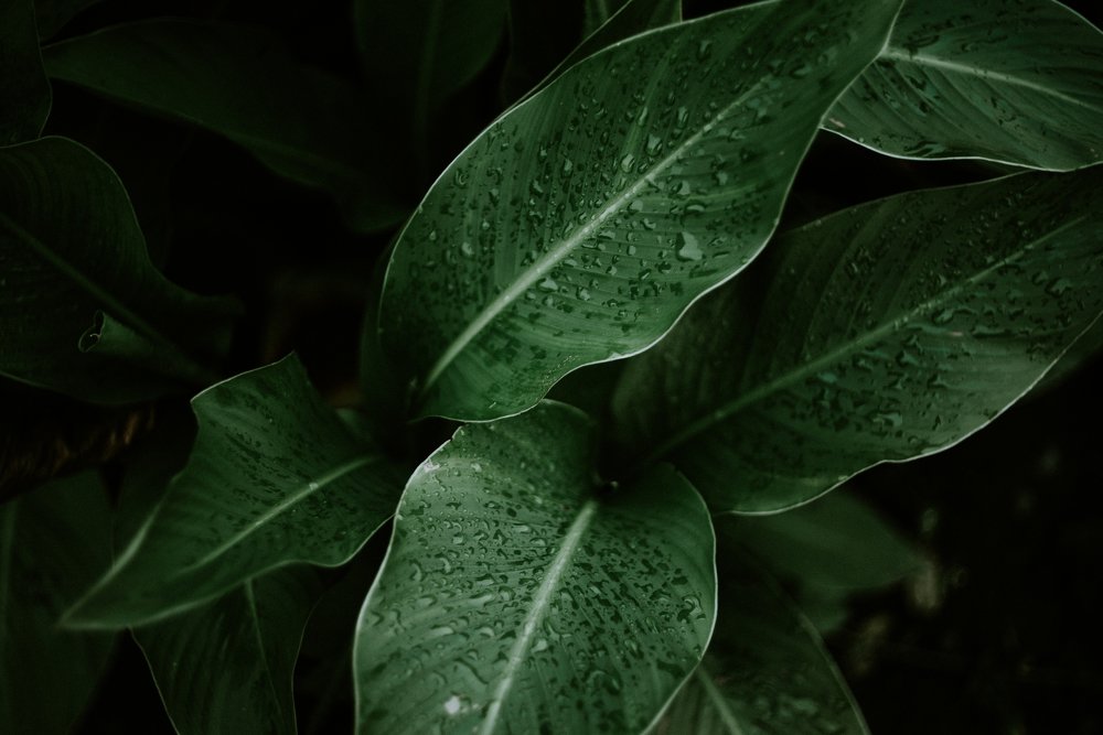 Photograph by Emilija Juškovė