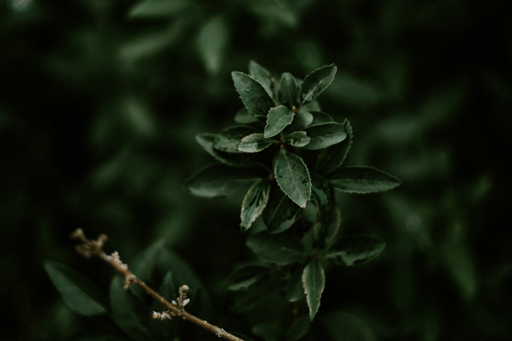 Photograph by Emilija Juškovė