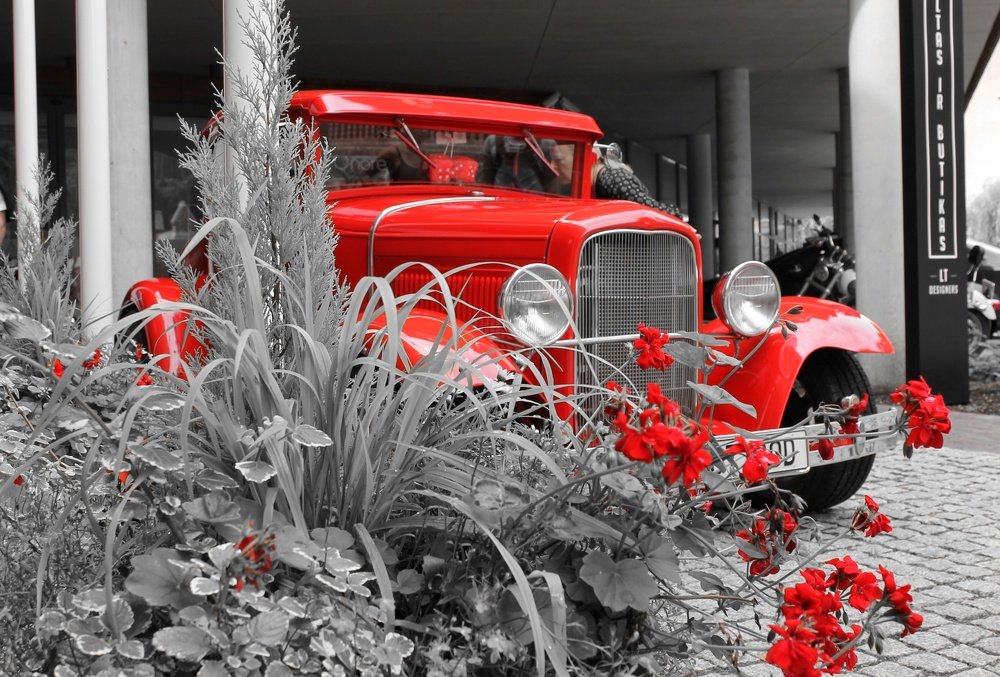 Photograph by Alena