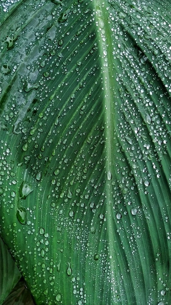 Фотография автора Mridul Chaudhary