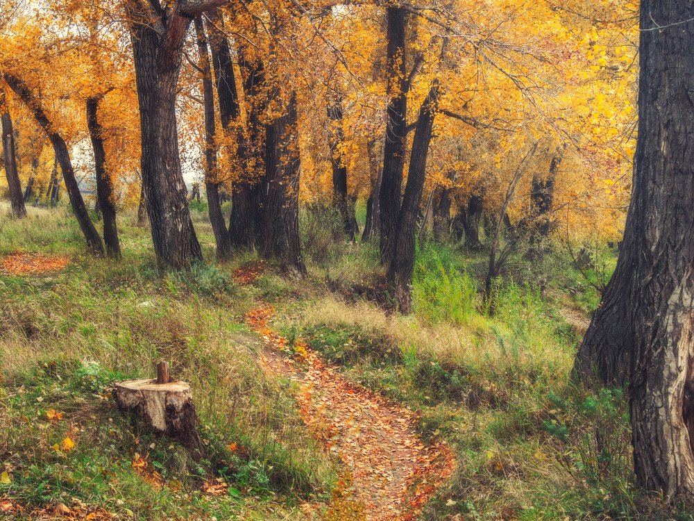 Photograph by Вячеслав Баширов