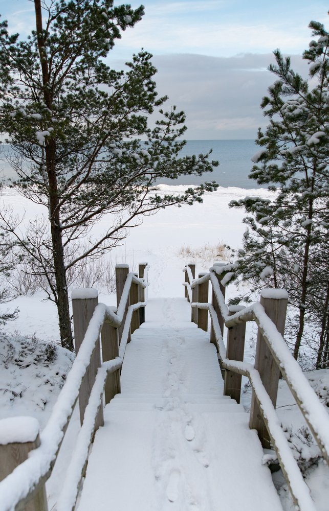 Photograph by Irina Katoshina