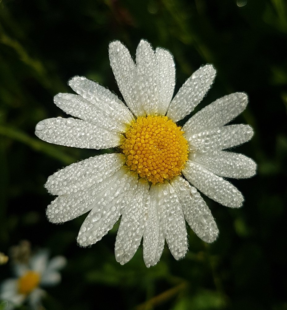 Photograph by Mojca Rebol