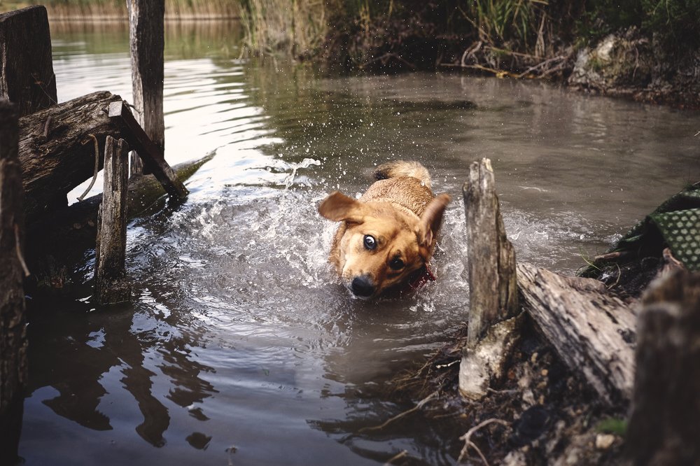 Photograph by Tjaša Završnik