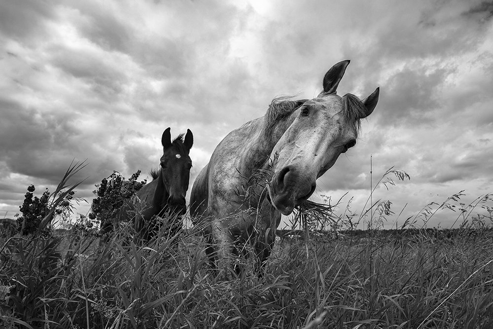 Photograph by Игорь Глазунов