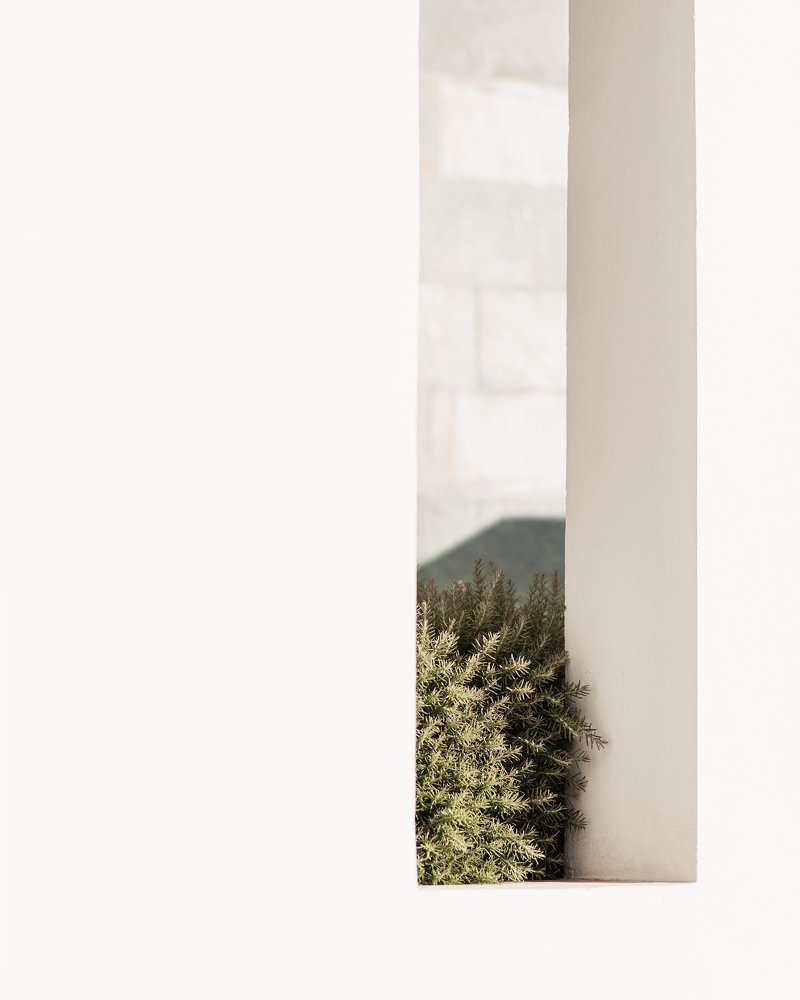 Photograph by Наталья Дмитриева