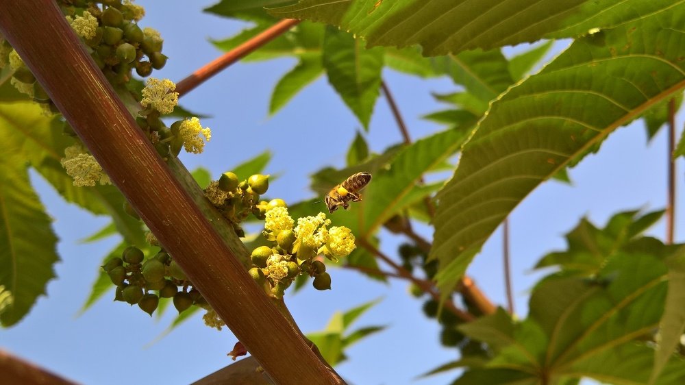 Photograph by Umida Yusupova