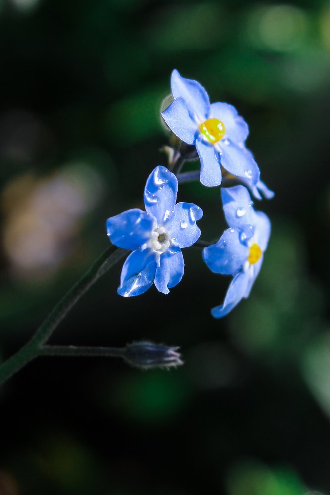 Photograph by Илона Дунаева