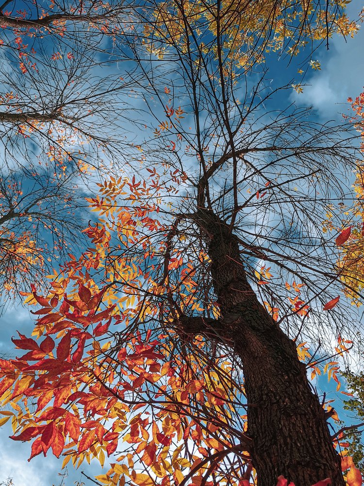 Красивое природы обнаженье...