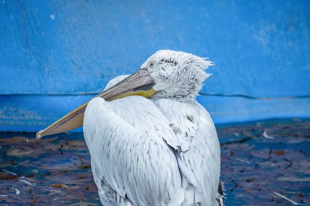 Photograph by Javad Allahyari