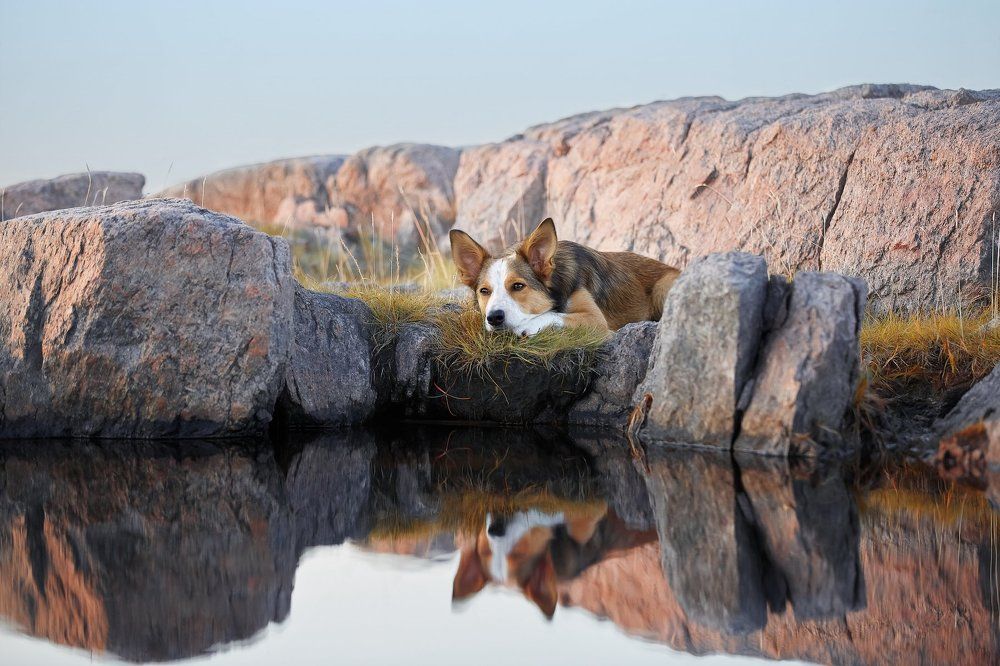 Photograph by Лана Полякова