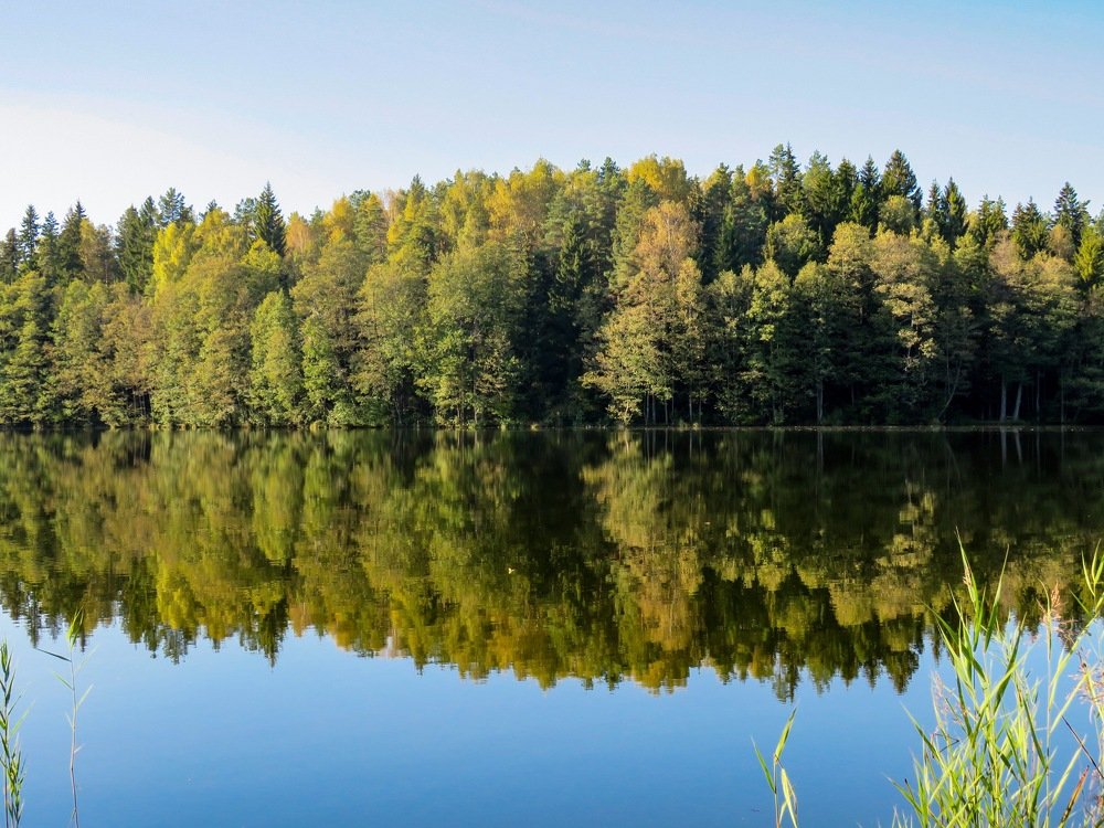 Осенний пейзаж