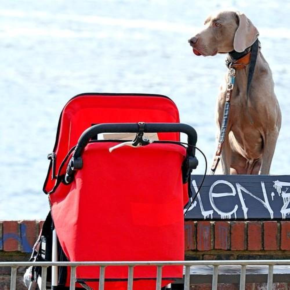 Под надежной охраной