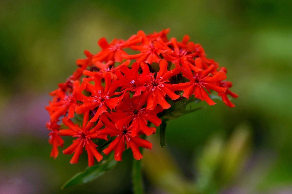 Photograph by Дмитрий Розенбаум