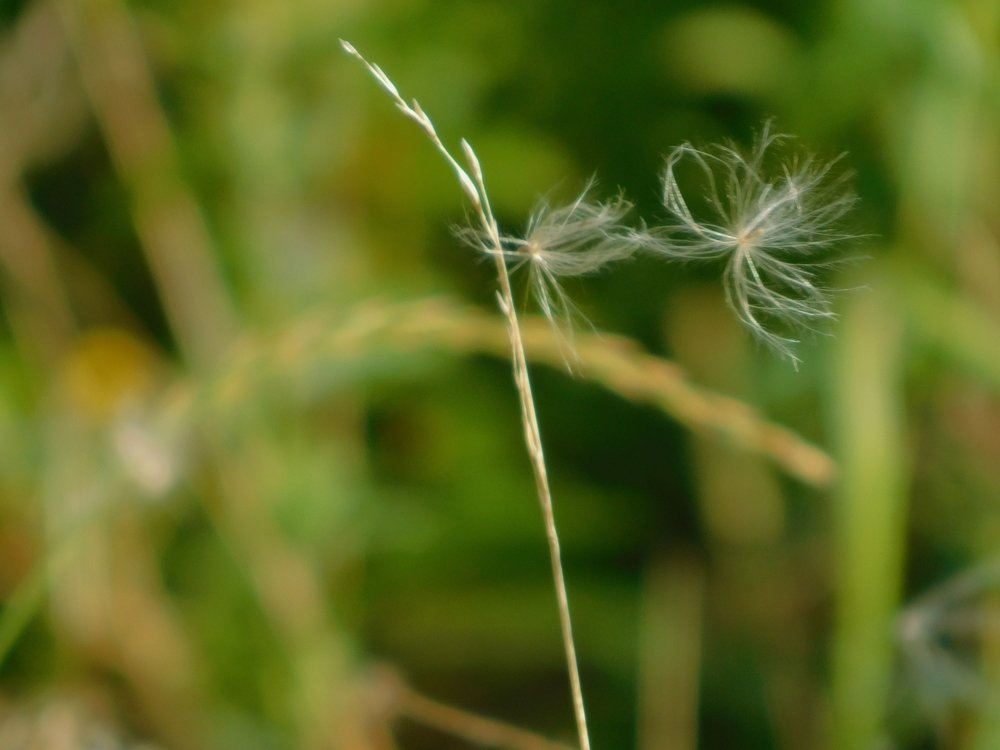 Photograph by Елена Грошева