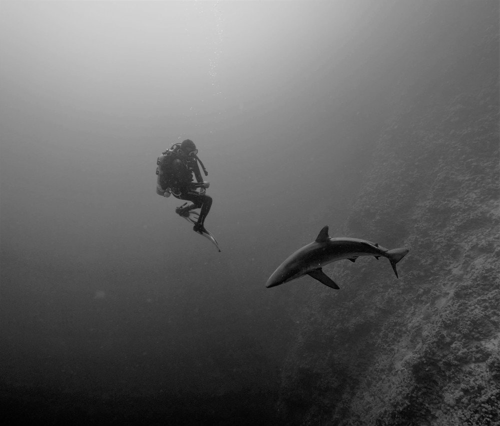 Photograph by Mikhail Khlavna