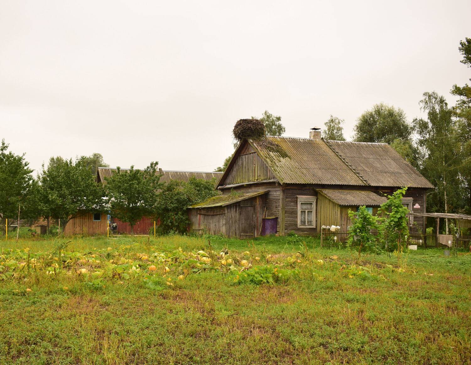 Photo #3673622