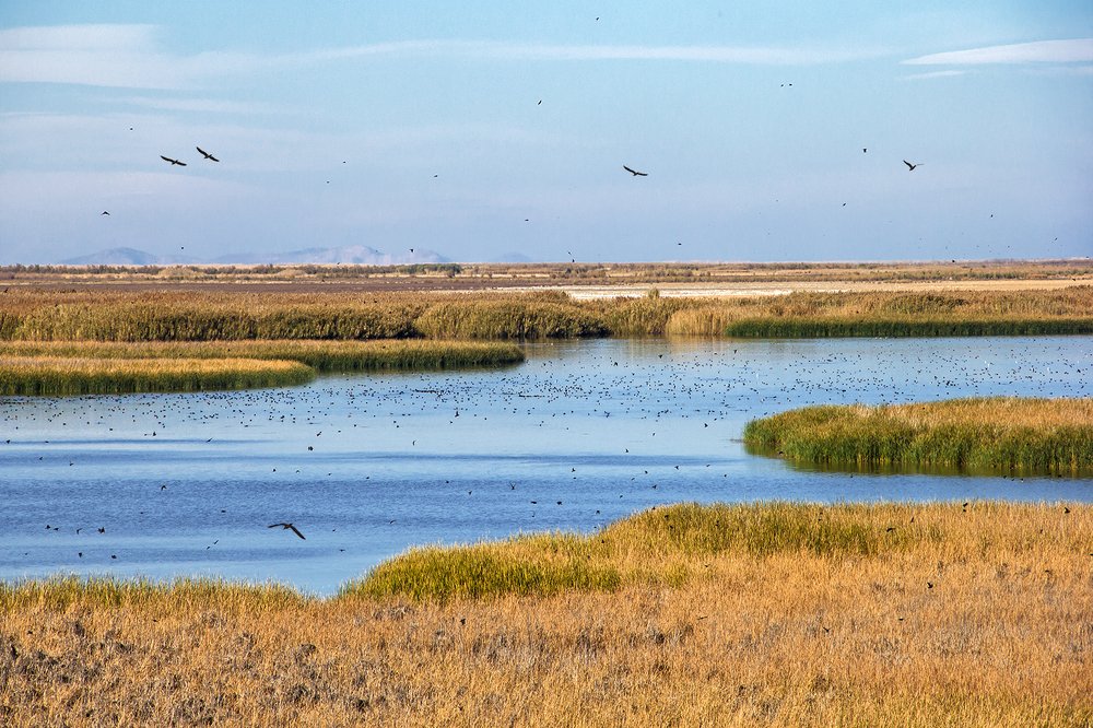 Photograph by bahar rismani